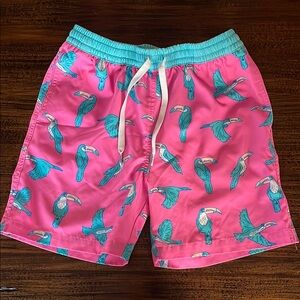 Chubbies Boys Swim Trunks - Pink with Blue Toucan Design